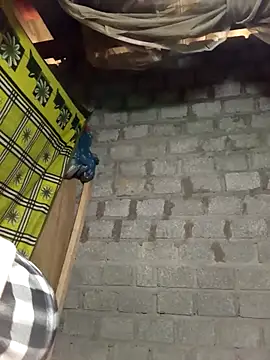 tcm-cute online show from February 2026 02:15:02 AM