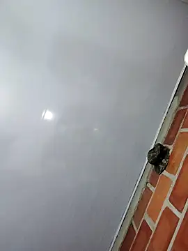 Perropa online show from February 2026 01:16:02 AM