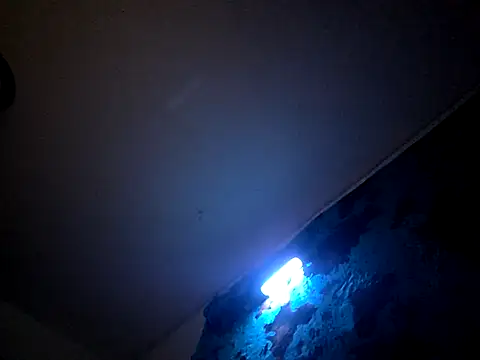 Bigdickdavis6969 online show from February 2026 02:58:02 PM