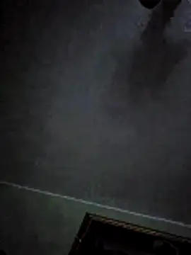 Snapshot of Ricotta1 chatting on January 2026 07:01:01 AM Ricotta1 online show from January 2026 07:01:01 AM