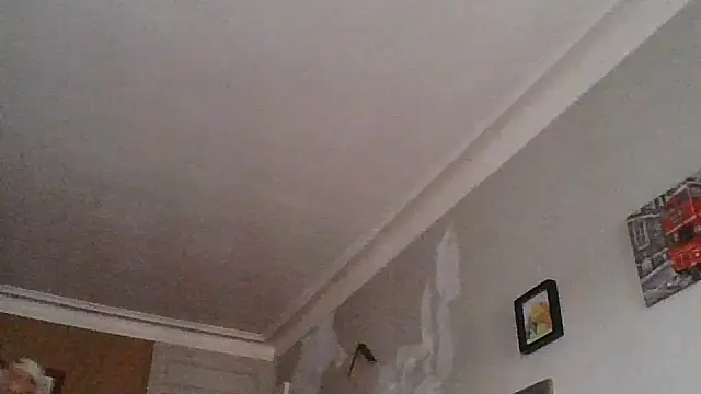 Snapshot of Titilouonlyf69 chatting on July 2026 07:01:02 PM Titilouonlyf69 online show from July 2026 07:01:02 PM