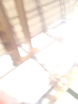 Snapshot of xyz-indian chatting on October 2025 03:50:01 AM xyz-indian online show from October 2025 03:50:01 AM