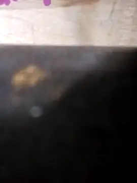 Snapshot of Jeremycle chatting on October 2025 11:21:02 PM Jeremycle online show from October 2025 11:21:02 PM