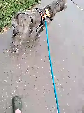 Unknownstepbrother online show from October 2025 07:56:02 PM