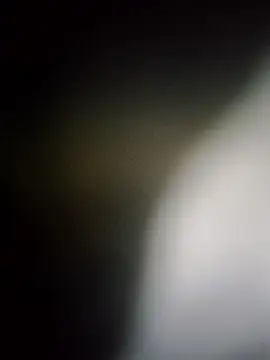 Rk3BULL online show from March 2026 11:43:01 PM