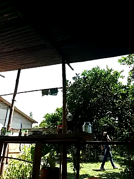 AlphaAlterX online show from October 2025 06:04:01 PM