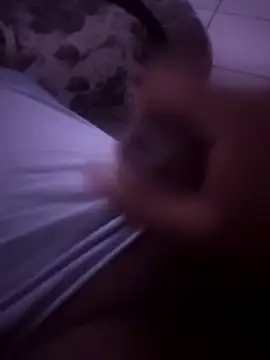 Novin23cms online show from January 2026 05:00:01 AM