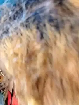 hemilynthomas2467 online show from February 2026 07:23:02 PM