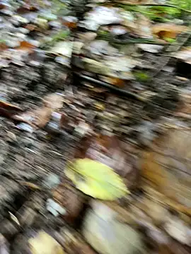 andymatthisbwc online show from October 2025 03:43:01 PM