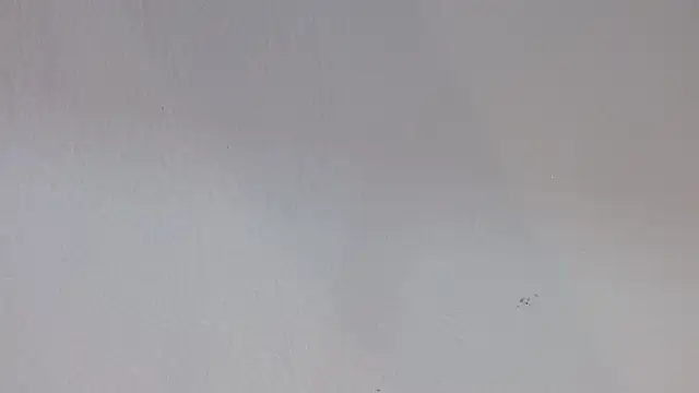 Snapshot of kiity_horny_ chatting on September 2025 12:54:01 PM kiity horny online show from September 2025 12:54:01 PM