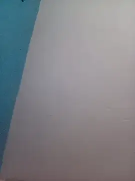 Snapshot of Alina-khan chatting on October 2025 04:35:01 PM Alina-khan online show from October 2025 04:35:01 PM