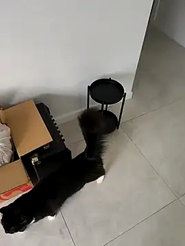 aussiepeaches online show from April 2026 01:25:01 AM