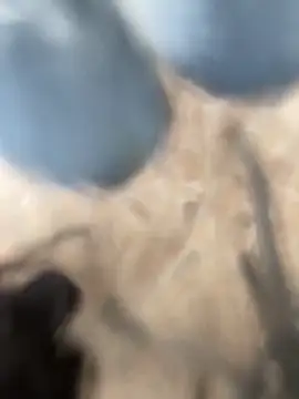 Adele Pinkk online show from October 2025 02:13:01 PM