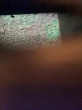 Adele Pinkk online show from November 2025 12:16:02 PM