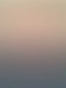 Adele Pinkk online show from November 2025 12:16:01 PM