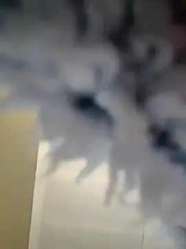 Cianda24 online show from December 2025 09:25:01 AM