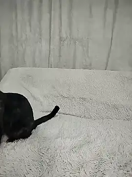 Layla fontainex x online show from September 2025 01:49:01 PM