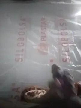 Kaygsy online show from December 2025 06:58:02 PM