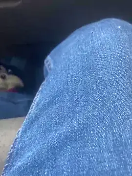 Pedro98801 online show from February 2026 11:47:02 PM