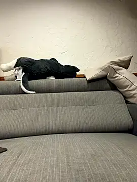 black xun online show from January 2026 02:32:01 PM