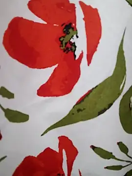  tetas 92 online show from February 2026 02:24:02 PM