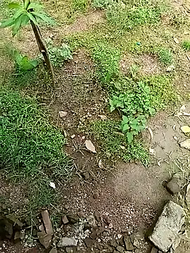 Rahul Razz online show from October 2025 07:06:02 AM