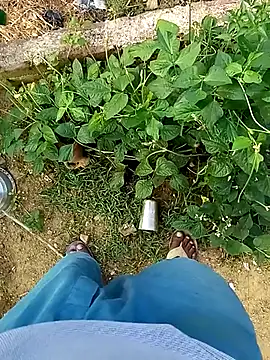 Rahul Razz online show from October 2025 01:06:02 AM