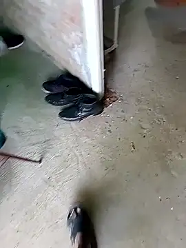 Rahul Razz online show from November 2025 06:24:01 AM