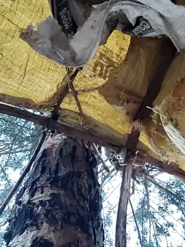 Janvi Jaitly online show from November 2025 01:16:02 AM