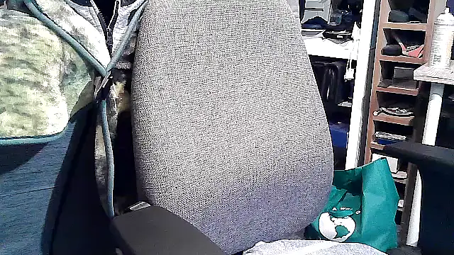 Snapshot of georgew62 chatting on September 2025 11:50:01 PM georgew62 online show from September 2025 11:50:01 PM