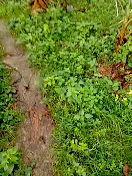 Snapshot of bigdaddyboy46 chatting on September 2025 02:00:01 AM bigdaddyboy46 online show from September 2025 02:00:01 AM