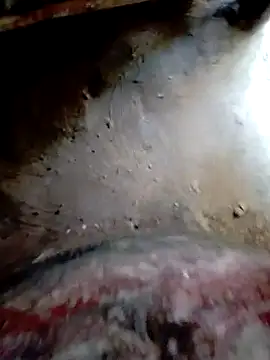 Snapshot of bigdaddyboy46 chatting on October 2025 09:43:01 AM bigdaddyboy46 online show from October 2025 09:43:01 AM