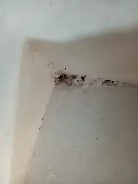 Punam jindal online show from October 2025 06:10:02 AM