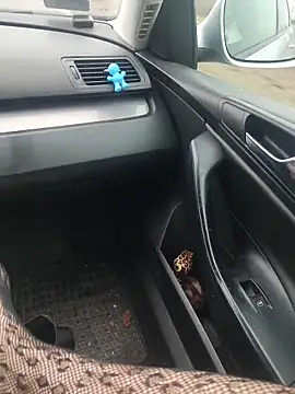 MiriandZacki online show from December 2025 12:23:02 PM