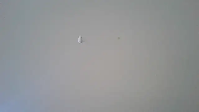 abimusic99 online show from February 2026 07:45:01 PM