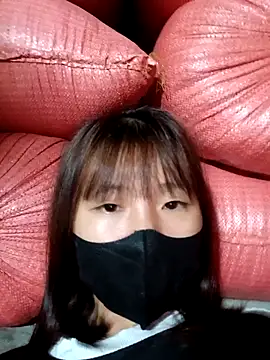 Snapshot of kata-00 chatting on October 2025 12:14:01 PM kata-00 online show from October 2025 12:14:01 PM