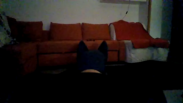 AntonioNice iml online show from November 2025 06:16:02 AM