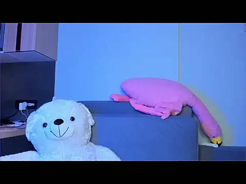 tokipokki online show from January 2026 11:32:02 PM