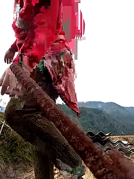 SSexykute3456 online show from November 2025 01:49:02 AM