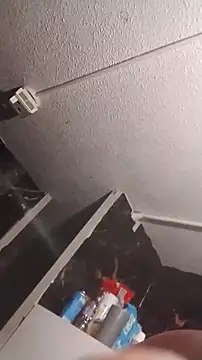 biggdoggent online show from October 2025 03:37:01 AM