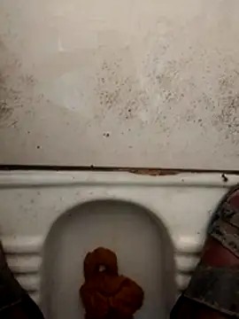 haryanaboypanipat12 online show from March 2026 01:21:01 AM