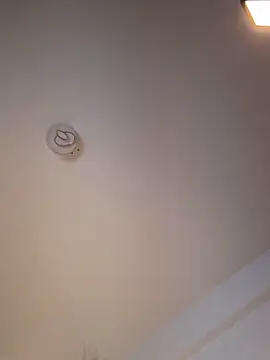 Andrestarr online show from March 2026 06:47:01 PM