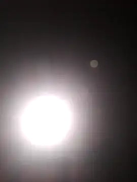 Cachorrinha2025 online show from October 2025 05:45:02 PM