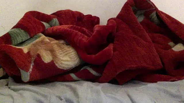 Kwasi-a online show from March 2026 04:07:02 PM