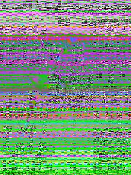 MaddyX   online show from November 2025 07:21:01 PM