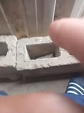 sgedle online show from September 2025 11:56:02 AM