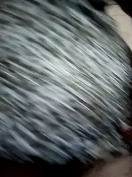 Love-890 online show from October 2025 04:16:01 PM