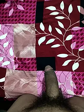 bold guy 1234 online show from October 2025 09:03:01 PM