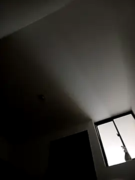 zamir adam online show from October 2025 12:05:02 PM