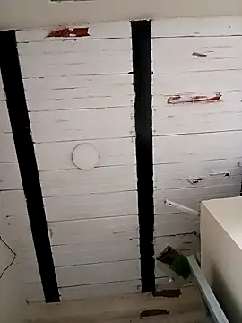 zamir adam online show from October 2025 01:26:02 PM